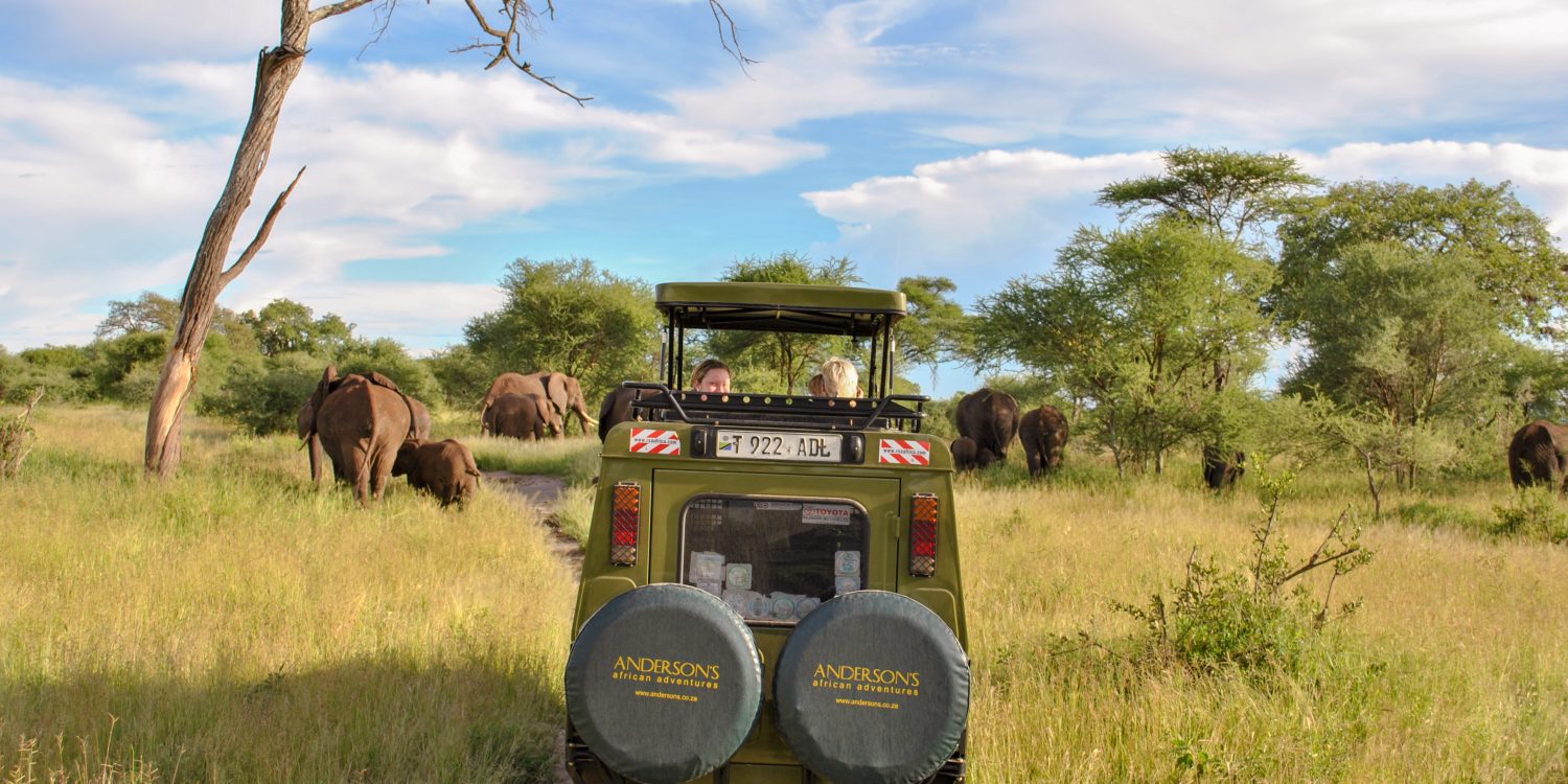 Tanzania safari och resor med Andersons