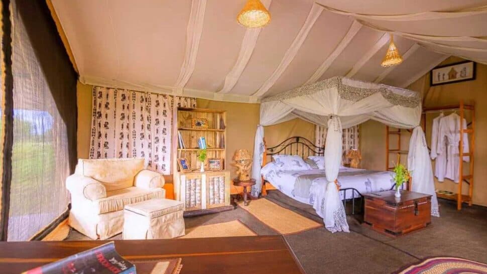Tanzania Bush Camp - Simba