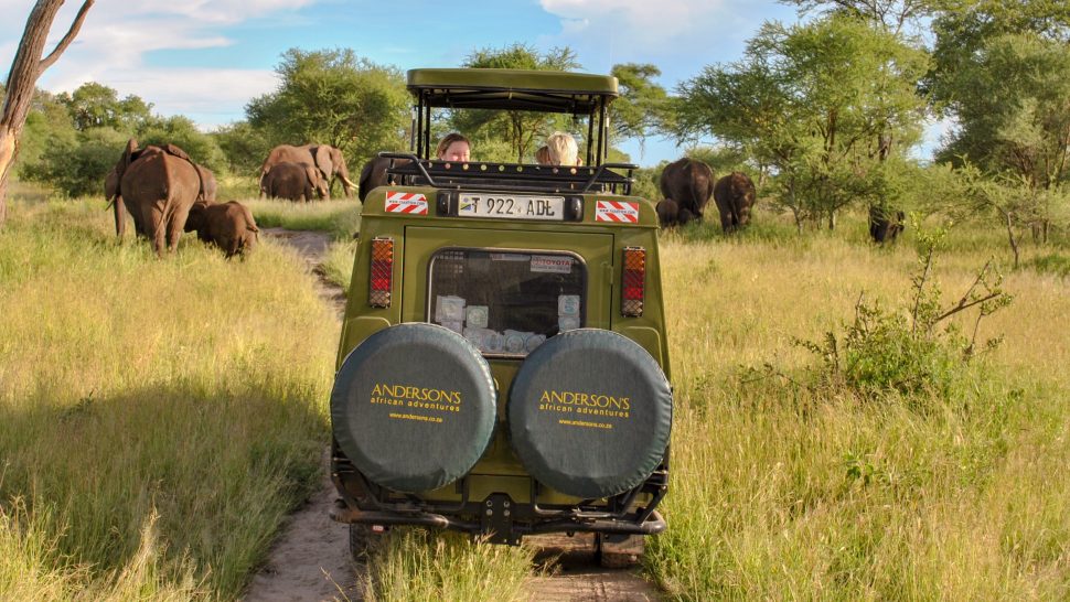 Tanzania safari och resor med Andersons